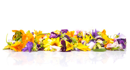 Mix edible flower salad over white backgroundの写真素材