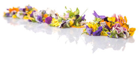 Mix edible flower salad over white backgroundの写真素材