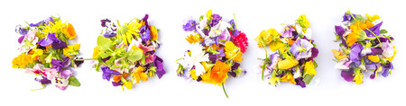 Mix edible flower salad over white backgroundの写真素材