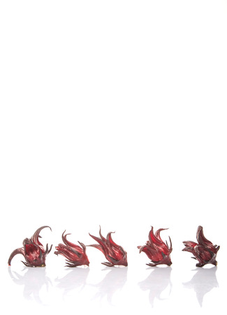 Roselle fruits over white backgroundの写真素材