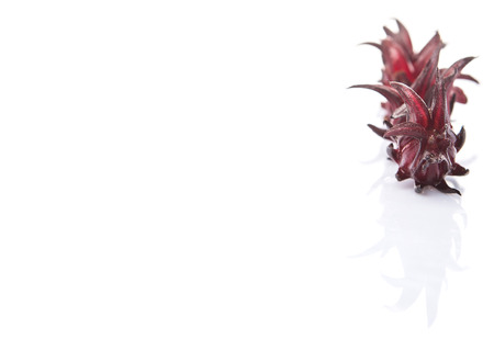 Roselle fruit over white backgroundの写真素材