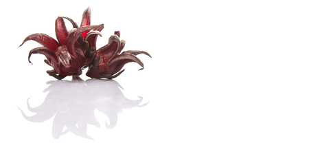 Roselle fruit over white backgroundの写真素材