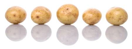 Baby potatoes over white backgroundの写真素材