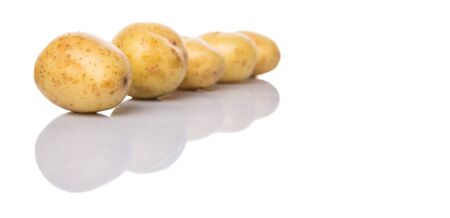 Baby potatoes over white backgroundの写真素材