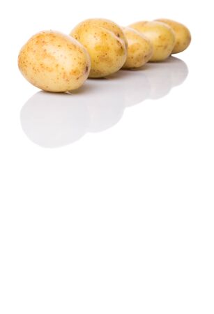 Baby potatoes over white backgroundの写真素材