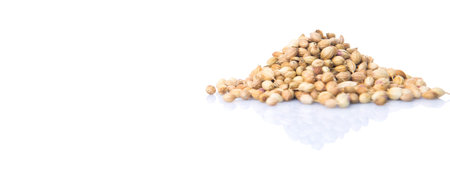 Coriander seed over white backgroundの写真素材