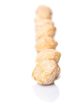 Candlenut seed over white backgroundの写真素材