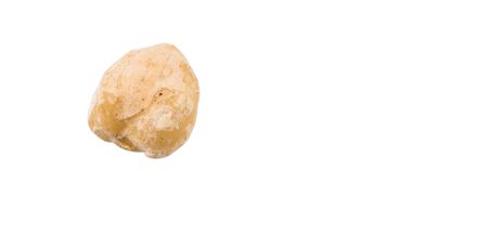 Candlenut seed over white backgroundの写真素材