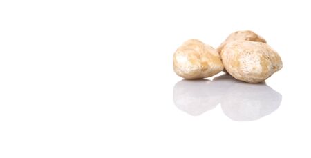 Candlenut seed over white backgroundの写真素材