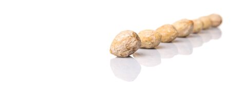 Candlenut seed over white backgroundの写真素材