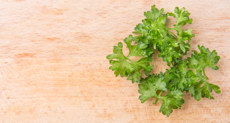 Parsley herbs leaves on wooden surfaceの写真素材