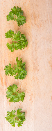 Parsley herbs leaves on wooden surfaceの写真素材