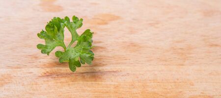 Parsley herbs leaves on wooden surfaceの写真素材