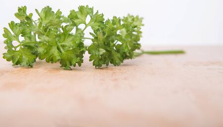 Parsley herbs leaves on wooden surfaceの写真素材