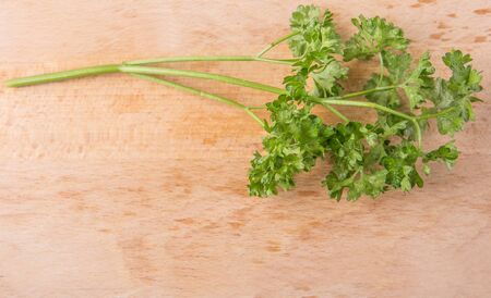 Parsley herbs leaves on wooden surfaceの写真素材