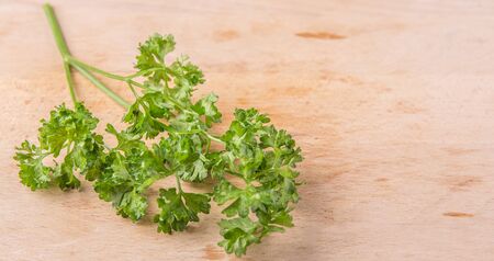 Parsley herbs leaves on wooden surfaceの写真素材