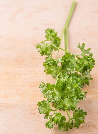 Parsley herbs leaves on wooden surfaceの写真素材