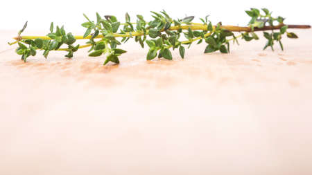 Thyme herbs leaves over wooden surfaceの写真素材