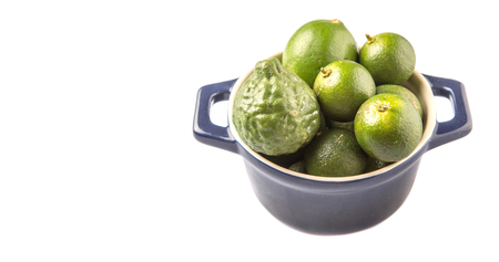 Lime makrut or kaffir lime and calamansi in blue pot over white backgroundの写真素材