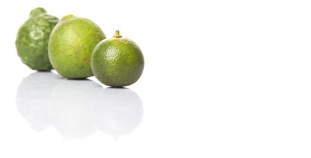 Lime makrut or kaffir lime and calamansi over white backgroundの写真素材