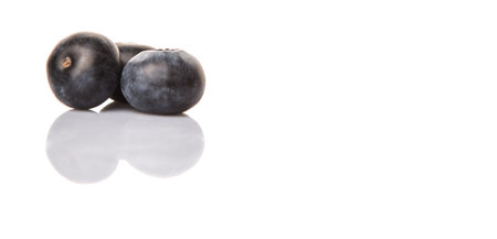 Blueberry fruits on white backgroundの写真素材