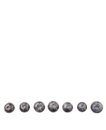 Blueberry fruits on white backgroundの写真素材