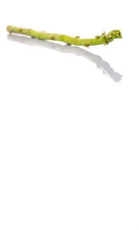 Fresh green asparagus vegetable over white backgroundの写真素材