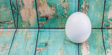 Hard boiled egg