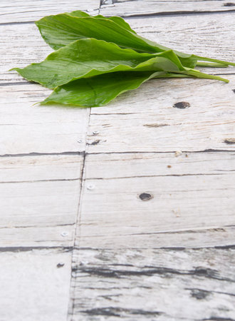 Turmeric leaves over wooden background