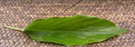 Turmeric leaves over wicker background