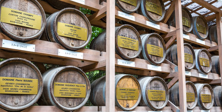 TOKYO, JAPAN - AUGUST 16TH 2015. Provenance of the Bourgogne Wine for Consecration at Meiji Jingu in...