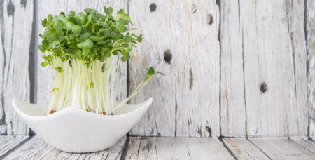 Radish sprout vegetables over wooden backgroundの写真素材