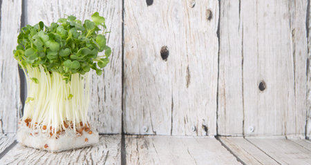Radish sprout vegetables over wooden backgroundの写真素材