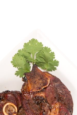 Malaysian dish of roasted lambの写真素材