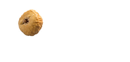 Dried fig over white background
