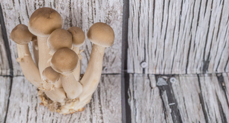Japanese Shimeji mushrooms over wooden backgroundの写真素材