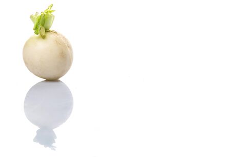 Small white radish vegetable over white backgroundの写真素材