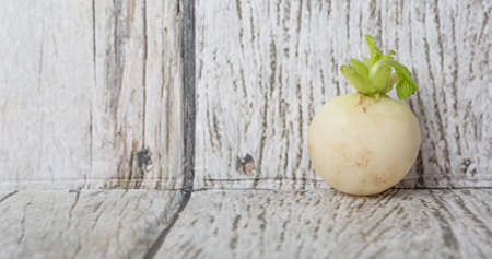 Small white radish vegetable over wooden backgroundの写真素材