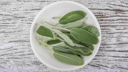 Sage leaves herb in white bowl over wooden backgroundの写真素材