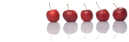 Crab apple fruit over white backgroundの写真素材