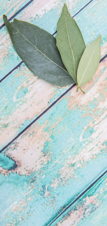 Dried laurel leaves over wooden backgroundの写真素材