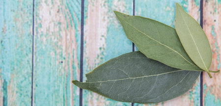 Dried laurel leaves over wooden backgroundの写真素材