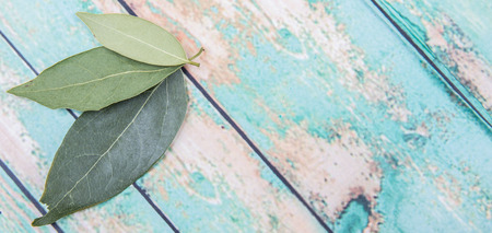 Dried laurel leaves over wooden backgroundの写真素材