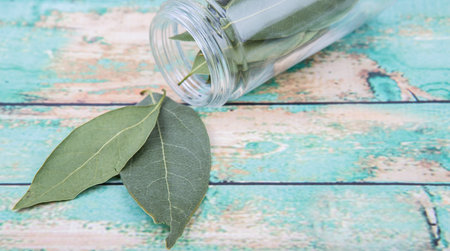 Dried laurel leaves over wooden backgroundの写真素材