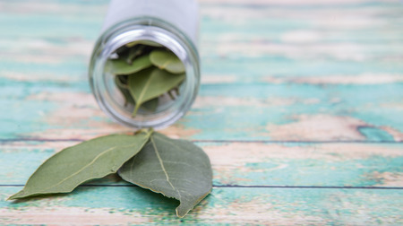 Dried laurel leaves over wooden backgroundの写真素材