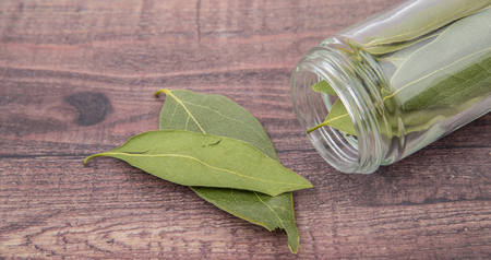Dried laurel leaves herb over wooden backgroundの写真素材