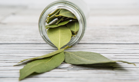 Dried laurel leaves herb over wooden backgroundの写真素材