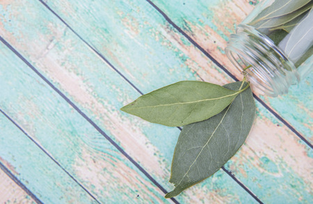 Dried laurel leaves herb over wooden backgroundの写真素材