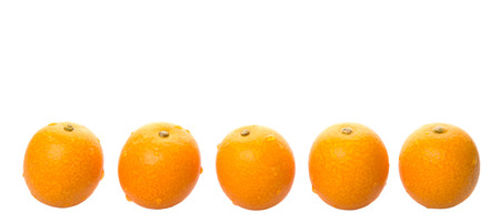 Fresh kumquat fruits over white backgroundの写真素材