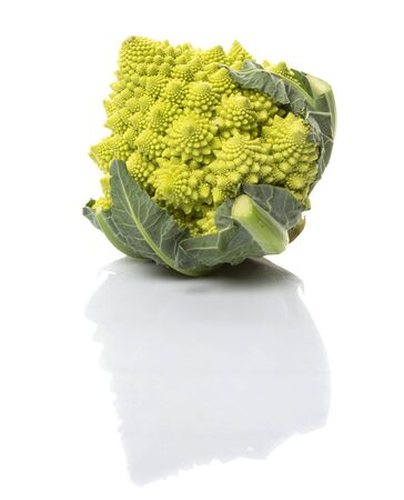 Romanesco broccoli or Roman cauliflower over white backgroundの写真素材